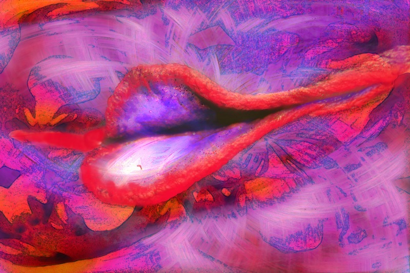 Loading Image