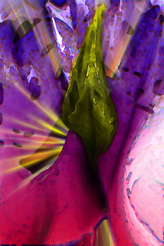 Loading Image