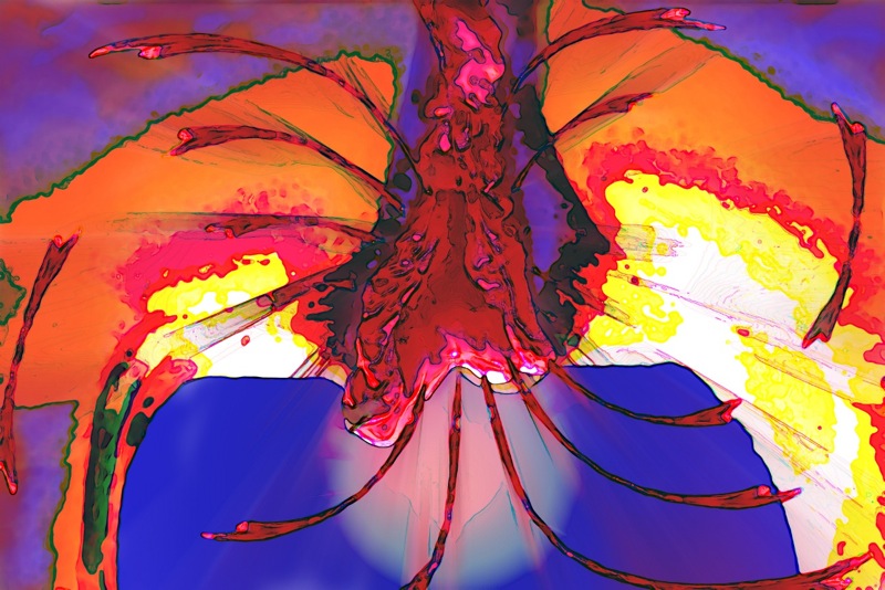 Loading Image
